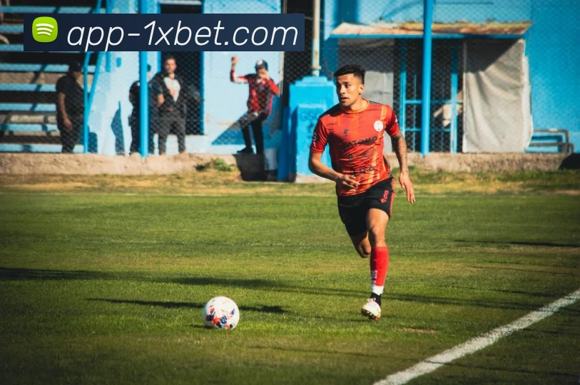 App Interface Preview